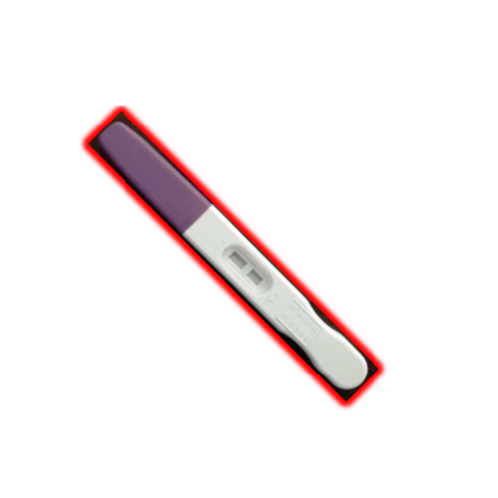 Pregnancy Test Kit